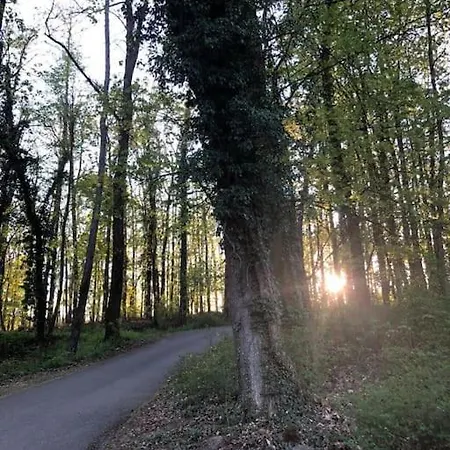 Ve Pod Hradem Az Pro 4 Osoby Lejlighed